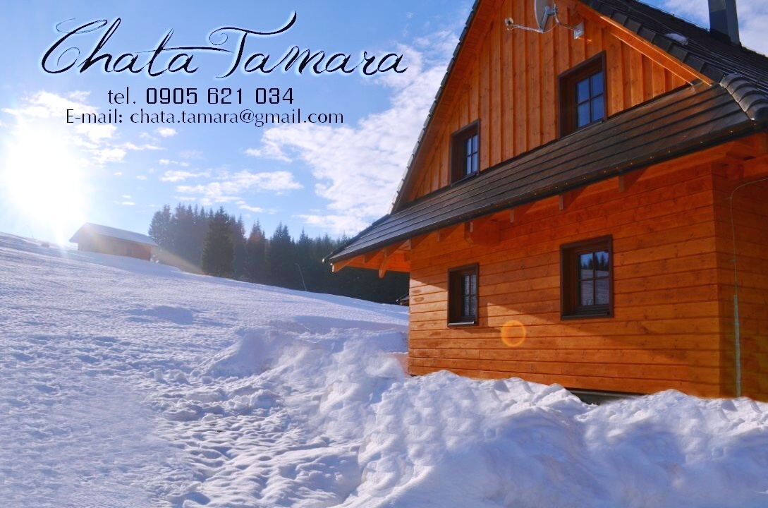 Okolie chaty Tamara - ubytovanie na Orave - dovolenka na Slovensku v Oravskej Lesnej
